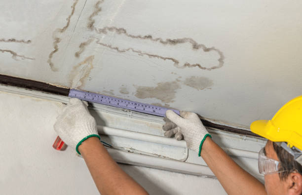 Reliable Basement Flood Cleanup contractor in Roswell, NM by Hirex Water Damage